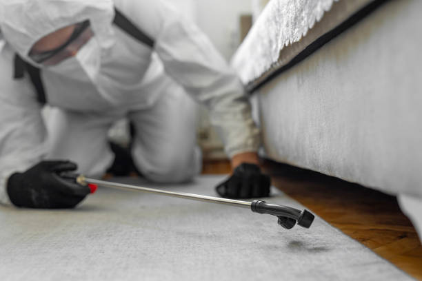 Professional Bed Bug Control technician working in Fort Worth, TX