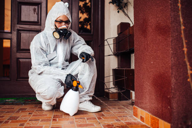 Reliable Bed Bug Control contractor in Fort Worth, TX by Nex Pest Control